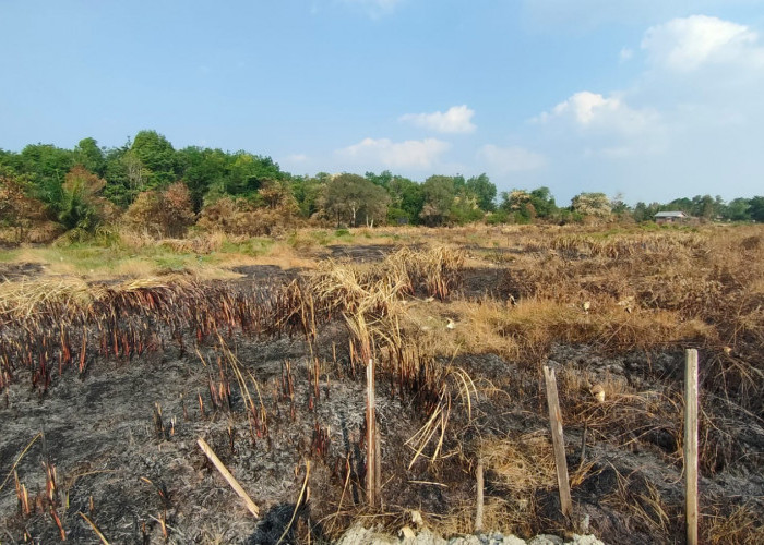 Dampak dari sisa kebakaran lahan yang terjadi di Kota Palembang