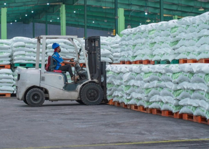 Stok Pupuk Bersubsidi Pusri Musim Tanam Pertama Dipastikan Aman, Cek Realisasi Penyaluran hingga 20 Februari