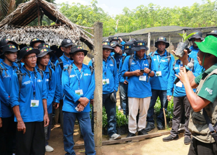 Produktivitas Digenjot, Pekebun Sawit OKU Ditempa Lewat Pelatihan Intensif
