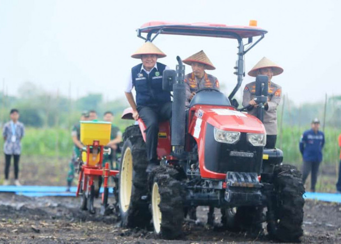 Herman Deru Dampingi Kapolri Tanam Jagung Serentak di Ogan Ilir, Perkuat Komitmen Swasembada Pangan