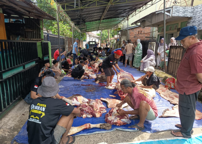 Masjid Jamik Karya Bakti Kelurahan Pahlawan Potong Hewan Qurban 4 Sapi dan 2 Kambing
