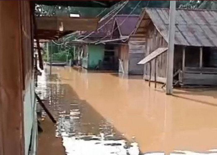 Hingga Hari Ini, Banjir Masih Rendam 4 Kecamatan di Muratara, 16.169 Rumah Terdampak