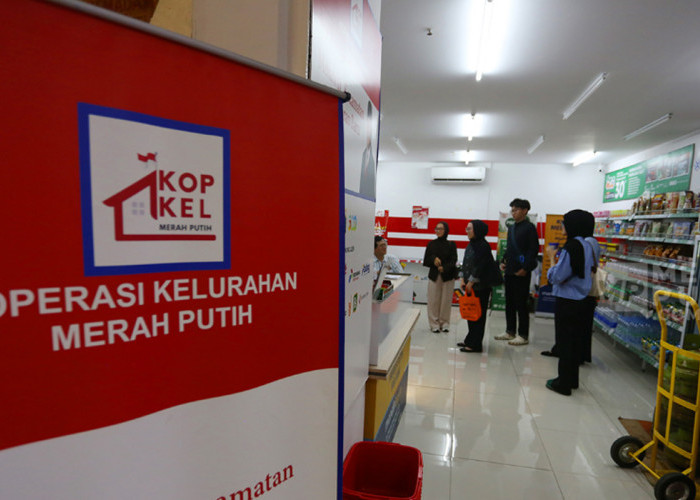 Catat! Jadwal dan Persyaratan Rekrutmen Koperasi Merah Putih, Buruan Langsung Jadi Karyawan BUMN