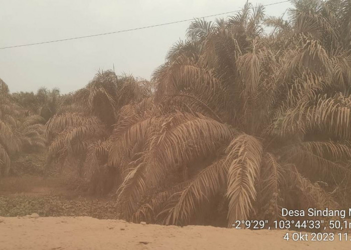 Warga Bayung Lencir Keluhkan Dampak Lalulintas Batubara 