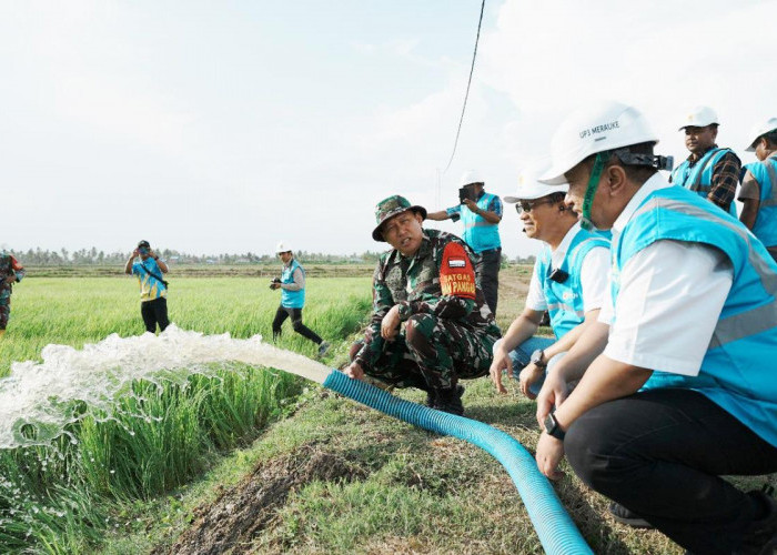 Dukung Pengembangan Pertanian di Merauke, PLN Listriki Area Sawah Garapan Kementan-TNI