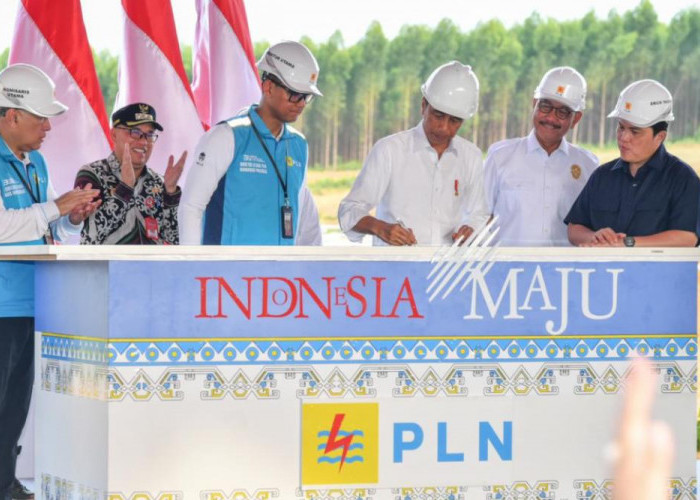 Jokowi Groundbreaking Pembangunan PLTS PLN 50 MW di IKN Nusantara, Hadirkan 100 Persen Energi Bersih
