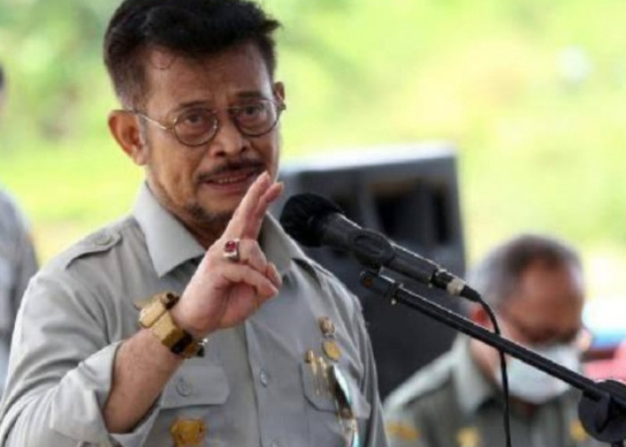 Menteri Pertanian Perintahkan Isolasi Daerah Terkena Flu Babi, Palembang Bagaimana?