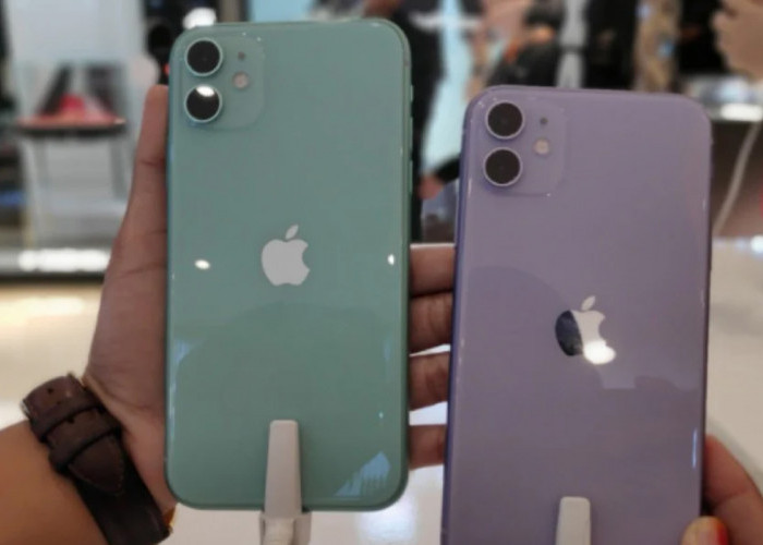 Turun Setengah Harga, iPhone 11 Jadi Incaran Akhir 2023, Simak Kelebihan dan Kekurangannya di Sini