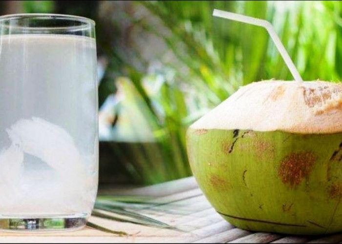 6 Manfaat Air Kelapa Saat Berbuka Puasa, Salah Satunya Aman untuk Lambung 