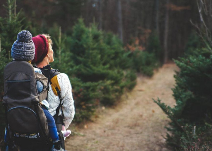 Viral!  Balita Terserang Hipotermia Saat Dibawa Orang Tua Mendaki Gunung, Ini kata IDAI