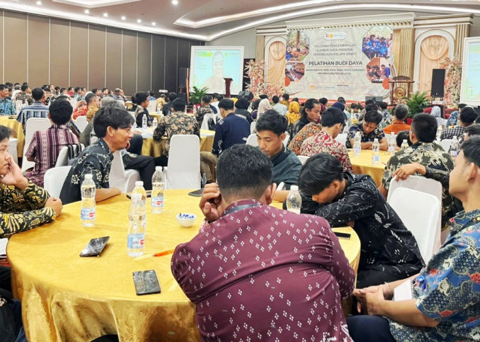 Dari Bibit hingga Panen, Petani Sawit OKU Didorong Naik Kelas