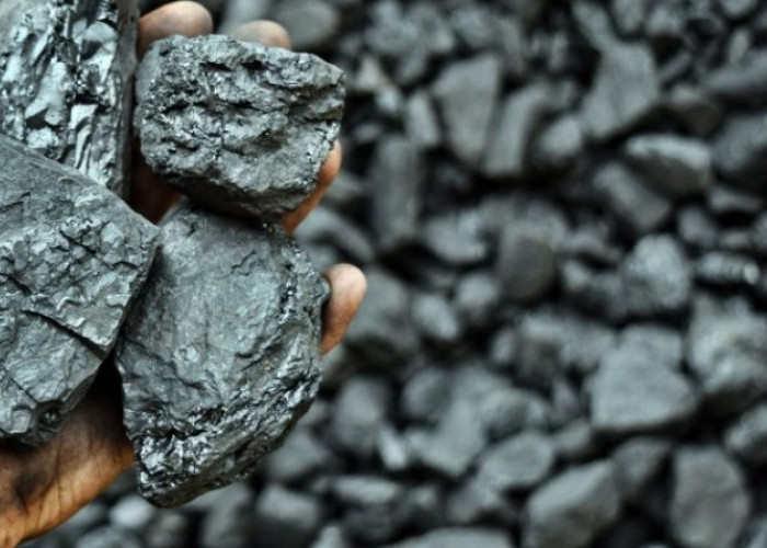 Info Emiten Hari Ini, Terkait Tambang di Sumsel, Kabar MEJA Akuisisi Trimata Coal Perkasa Muncul Lagi
