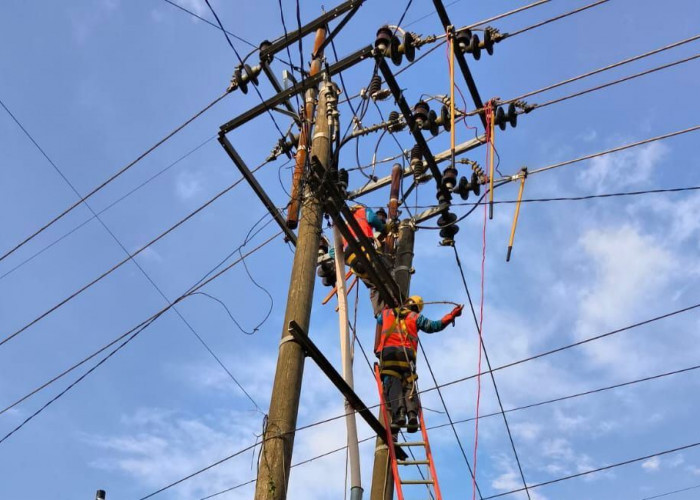  PLN ULP Lubuklinggau Perkuat Keandalan Listrik Lewat Perbaikan Saluran Kabel Tegangan Menengah