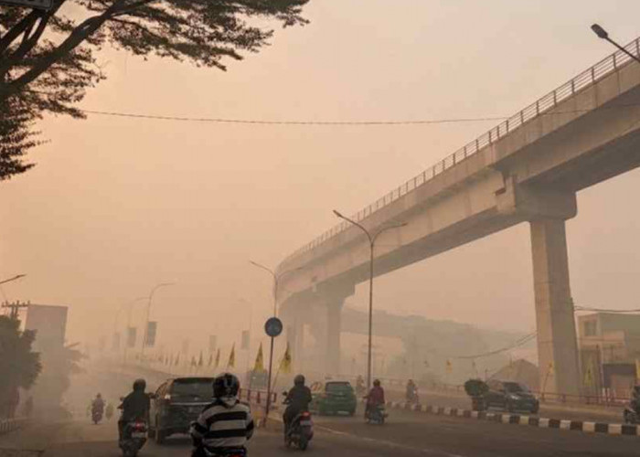 Kualitas Udara Palembang Kian Berbahaya, 17.434 Warga Terkena ISPA 