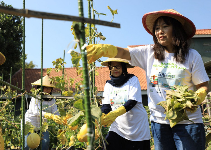 Berdayakan Perempuan, BRI Raih Penghargaan Indonesia Women's Empowerment Principles Awards 2024