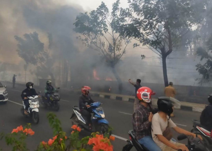 Potret Kebakaran Lahan di Jalan Kol H Burlian Palembang Samping Trakindo