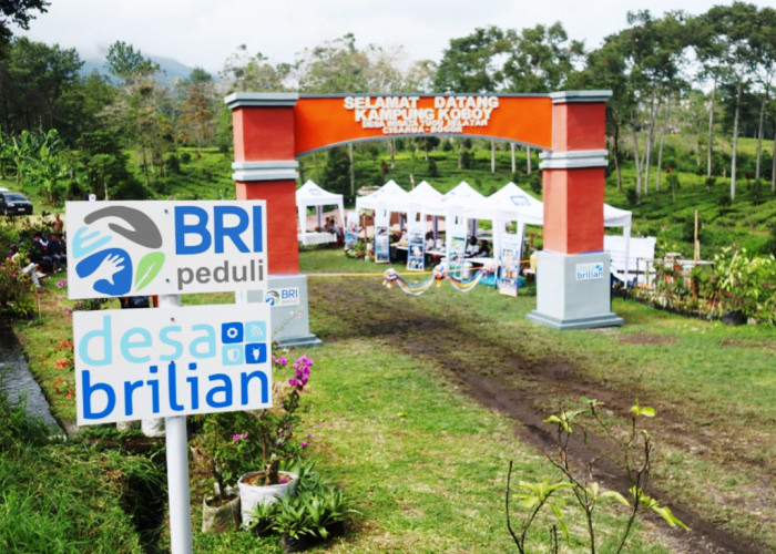 Jangkau 5.245 Desa BRILiaN, BRI Perluas Dukungan bagi Pengembangan Ekonomi Desa