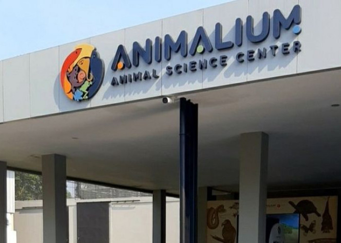 Animalium Bogor, Destinasi Wisata Baru Edukasi Satwa ini Bisa Jadi Rekomendasi Liburan Kamu