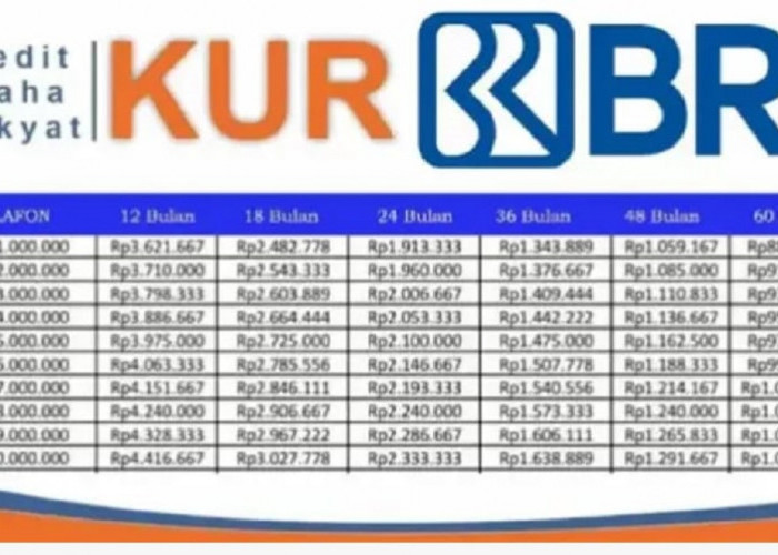 Begini Caranya Biar Cepat di-ACC! Pinjaman KUR BRI 2025 Langsung Cair Rp10 Juta