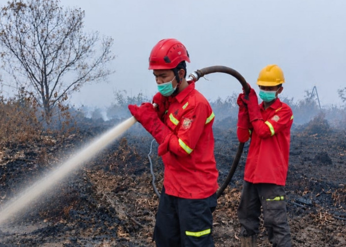 Dari Lokasi Karhutla, Sarbaini Memantau Kehamilan Istri
