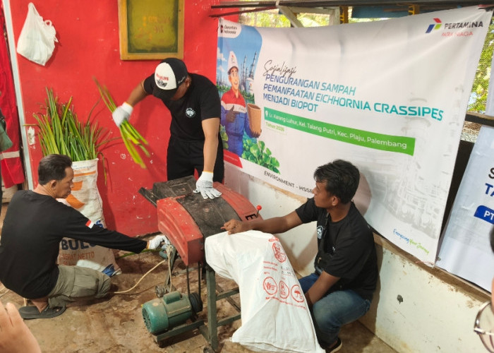 Merawat Rawa Sungai Musi Bersama Pertamina, Warga Plaju Sulap Eceng Gondok Jadi Cuan Pengharum Ruangan