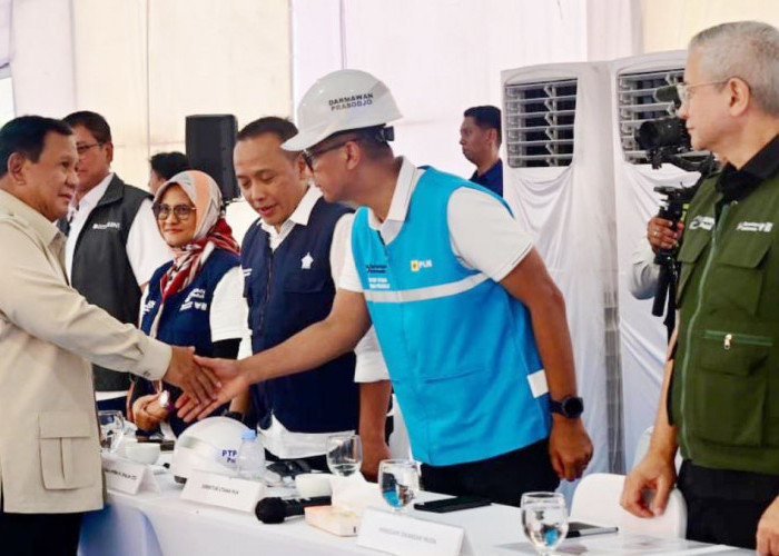 Danantara Sinergikan BUMN Bangun Huntara di Aceh Tamiang, PLN Sambung Listrik untuk Semua Rumah dan Fasum