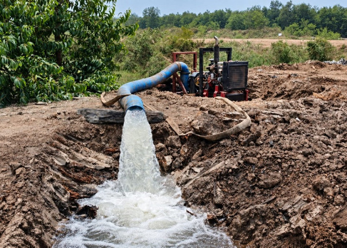 RHM Lakukan Pembasahan Lahan Gambut di Musim Kering