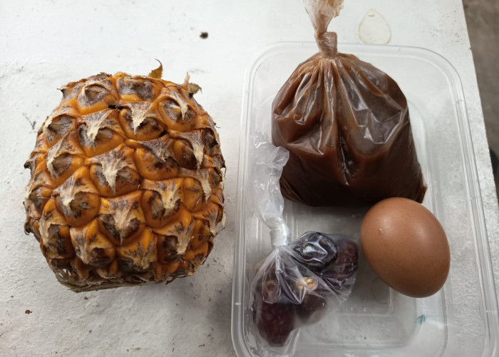 Viral Paket MBG Isi Buah Nanas Utuh di SDN Palembang, Ini Penjelasan SPPG