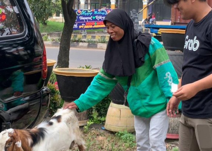 Idul Adha 1444 H, Grab Indonesia Bagikan Hewan Kurban di Palembang