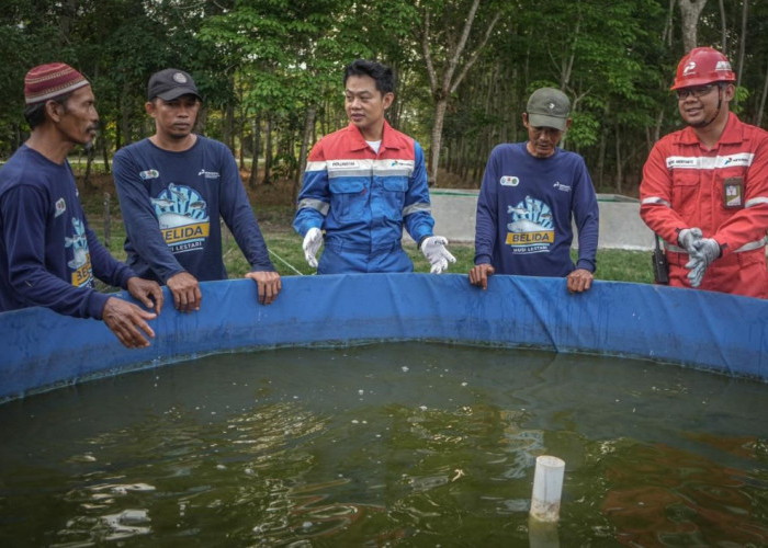 Kilang Plaju Konsisten Lestarikan Hayati, Konservasi Rusa, Ikan Belida, Penghijauan hingga Bibit Mangrove 