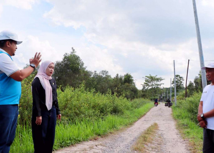 PLN–DPR RI Tinjau Progres Listrik Desa Pulau Semambu, 4,63 Km Jaringan Rampung Jangkau Lima Dusun