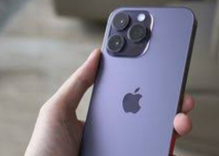Indonesia Bakal Kebagian Bikin Kabel, Baterai dan Adaptor iPhone  Usai CEO Apple Tim Cook Bertemu Jokowi