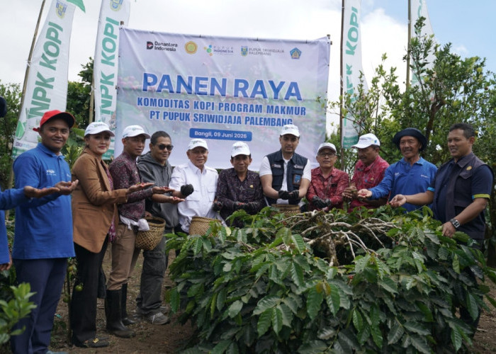 Pusri dan Kementerian Pertanian Bersinergi Perkuat Daya Saing Kopi Arabika Kintamani di Pasar Global