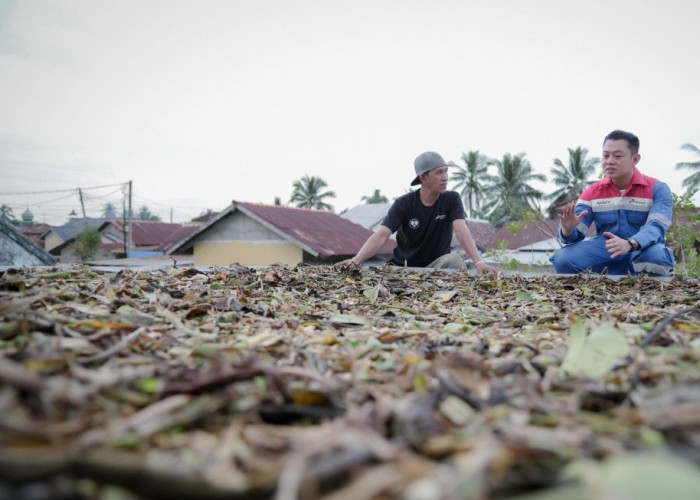 Program ERCC Pertamina Patra Niaga Kilang Plaju Berdayakan Warga Olah Eceng Gondok Jadi Pengharum Ruangan