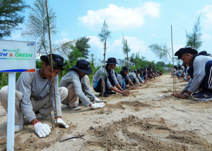 BRI Pertegas Komitmen dalam Menjaga Ekosistem Lingkungan melalui BRI Menanam – Grow & Green