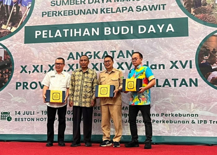 Kejar Target Produksi, Pekebun Empat Lawang Dibekali Teknik Budidaya Sawit Modern