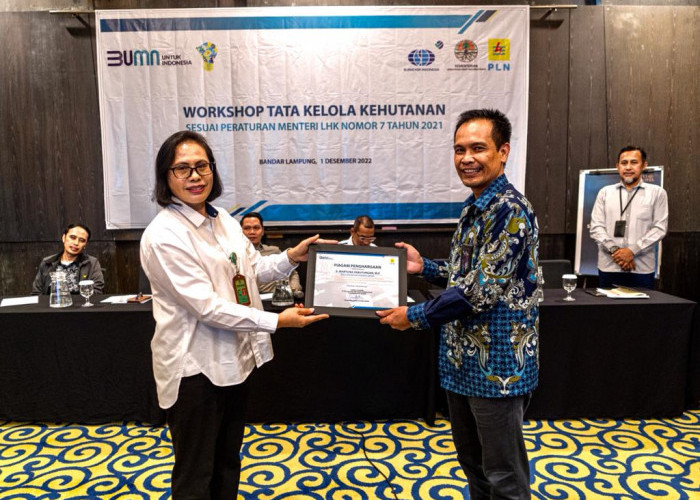 Sinergi PLN - KLHK RI Tingkatkan Pemahaman Tentang Tata Kelola Kehutanan