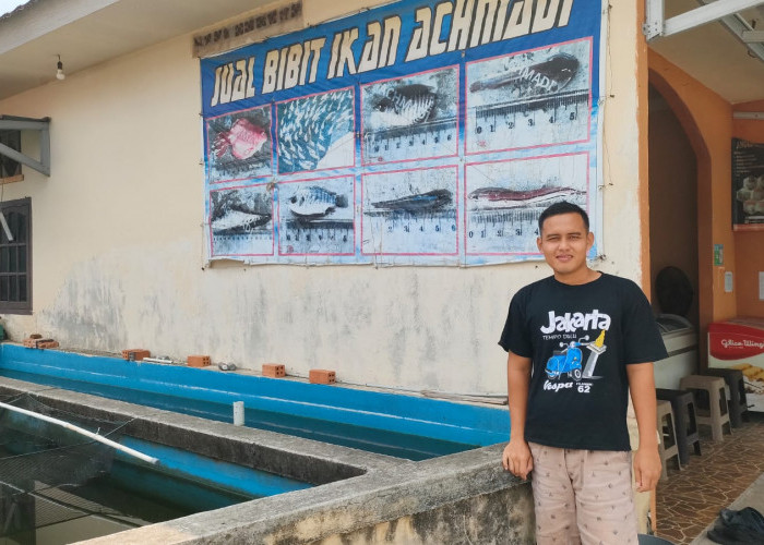 Sukses Bertahan 40 Tahun di Bisnis Penjualan Bibit Ikan, Achmadi Raup Omset Puluhan Juta Setiap Bulan