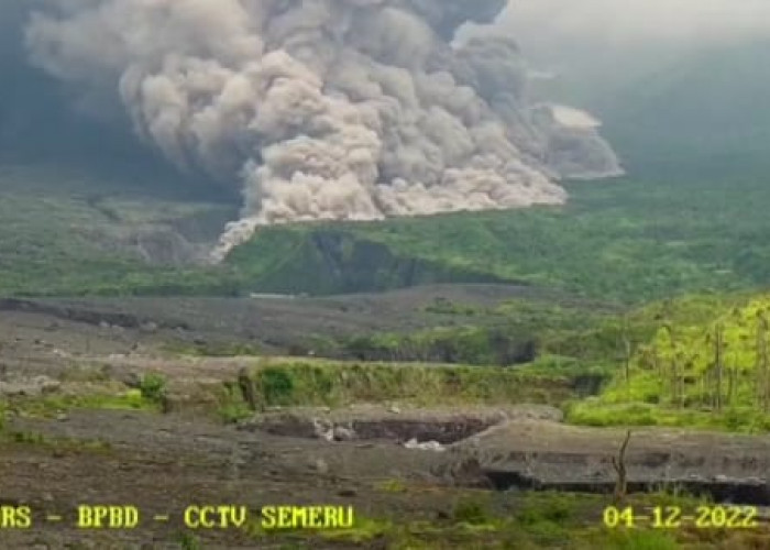 BREAKING NEWS: Terjadi Luncurkan Awan Panas Semeru Sejauh 1000 Meter Ke Tenggara