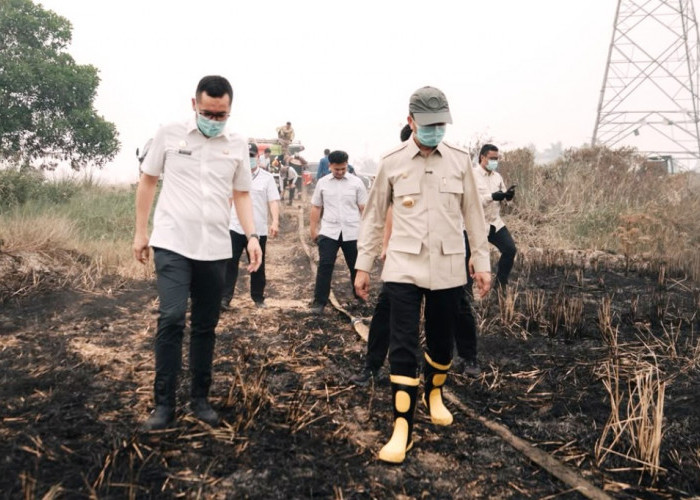 Faktanya di Lapangan, Palembang Dikepung Asap Kiriman, hanya 3 dari 66 Titik Karhutla di dalam Kota