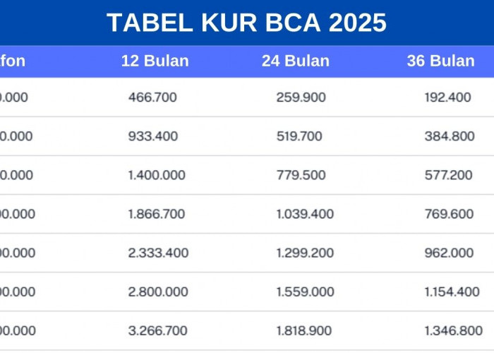 KUR BCA 2025 dengan Cicilan Terendah, Prosesnya Mudah, Cek Tabel Angsuran dan Syarat Pengajuan di Sini! 