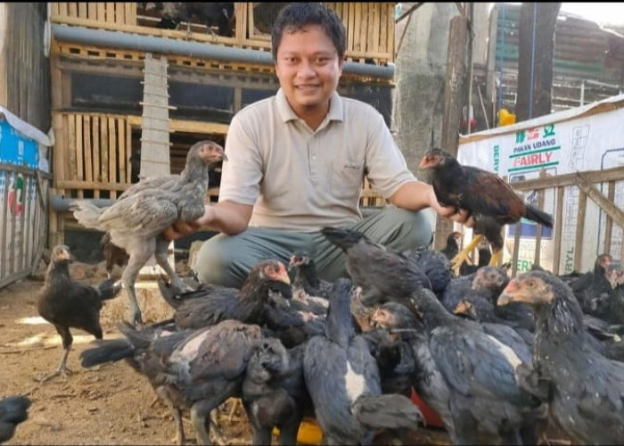 Ubah Paradigma Peternak di Kabupaten Lahat Sumsel Melalui Program 1 Rumah 1 Pasang Ayam