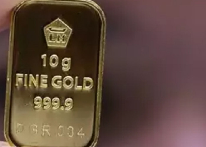 Info Emiten Hari Ini, Dana Ekplorasi Antam Kuartal IV 2025, ARCI Investasi Rp168 Miliar di 397 Tambang Emas