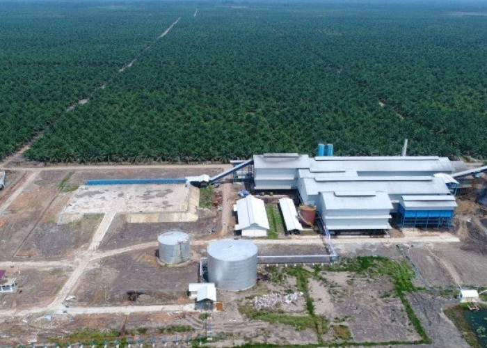GABUNG YUK! Sriwijaya Palm Oil Group Buka Lowongan Kerja untuk Lulusan Teknik