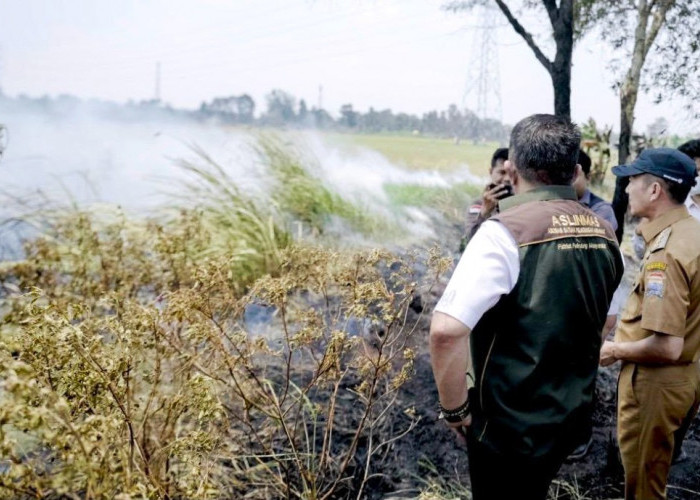 Gubernur Herman Deru dan Walikoto Ratu Dewa Tinjau Langsung Daerah Kerawanan Tinggi Karhutla di Palembang