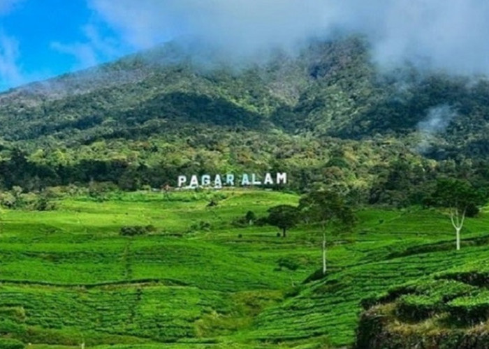 Gunung Dempo Dipadati Ratusan Pendaki Saat Momen Lebaran 2026