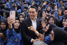 Gigit Jari, PPPK Paruh Waktu di OKI Tak Dapat THR, Ini Alasannya