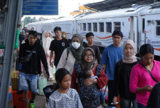 BSB Gelar Mudik Gratis 2026 Pemprov Sumsel, Catat Jadwalnya Jangan Samopai Ketinggalan