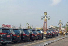 Pemkot Palembang Lelang Terbuka 88 Kendaraan Dinas Tahun 2025, 47 Unit Terjual Masih Layak Pakai