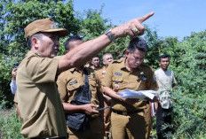 Ratu Dewa Tetapkan Pembangunan Mini Zoo di Talang Kepuh Gandus, Segera Ekseskusi Tahun Ini